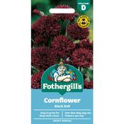 Cornflower Seeds (Black Ball) image