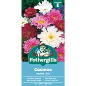 Cosmos Seeds (Double Click) image