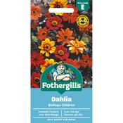Dahlia Seeds (Bishops Children) image