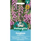 Foxglove Seeds (Bubbly Pink Hybrid) image