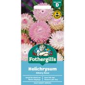 Helichrysum Seeds (Silvery Rose) image