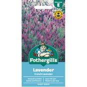 Lavender Seeds (French Lavender) image