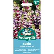Lupin Seeds (Avalune Bicolour Mix) image