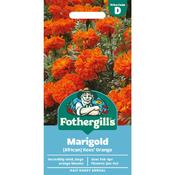 Marigold Seeds (African|Kees Orange) image