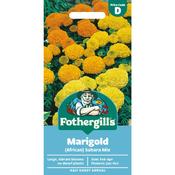 Marigold Seeds (African|Sahara Mix) image