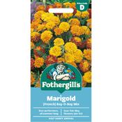 Marigold Seeds (French|Boy-Oh-Boy Mix) image