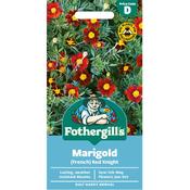 Marigold Seeds (French|Red Knight) image