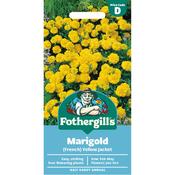 Marigold Seeds (French|Yellow Jacket) image