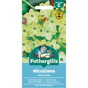 Nicotiana Seeds (Lime Green) image