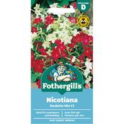Nicotiana Seeds (Roulette Mix F2) image