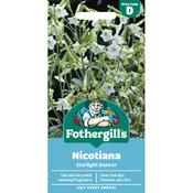 Nicotiana Seeds (Starlight Dancer) image
