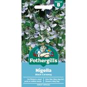 Nigella Seeds (Black Caraway) image