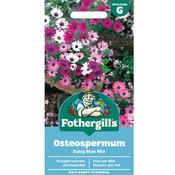Osteospermum Seeds (Daisy Mae Mix) image