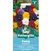 Pansy Seeds (Early Mix) image