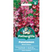 Penstemon Seeds image