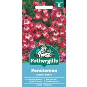 Penstemon Seeds (Scarlet Queen) image