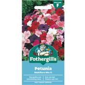 Petunia Seeds (Multiflora Hybrid Mix) image