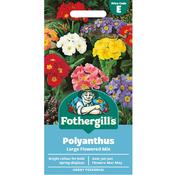 Polyanthus Seeds (Large Flowered) image