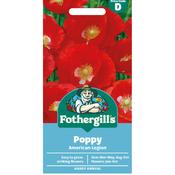 Poppy Seeds (American Legion) image