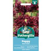 Poppy Seeds (Black Swan) image