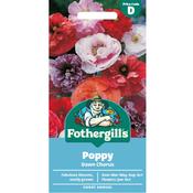Poppy Seeds (Dawn Chorus) image