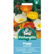 Poppy Seeds (Iceland Mix) image