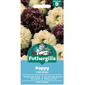 Poppy Seeds (Irish Velvet) image