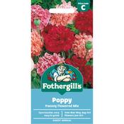 Poppy Seeds (Paeony Flowered Mix) image