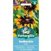 Rudbeckia Seeds (Aries) image