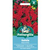 Salvia Seeds (Blaze of Fire) image