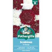 Scabious Seeds (St George) image