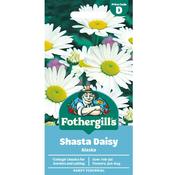 Shasta Daisy Seeds (Alaska) image