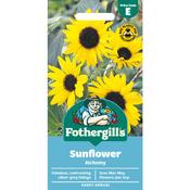 Sunflower Seeds (Alchemy) image