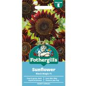 Sunflower Hybrid Seeds (Black Magic) image