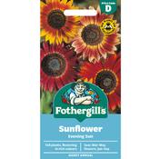 Sunflower Seeds (Evening Sun) image