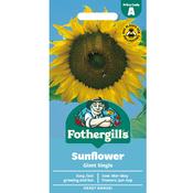 Giant Sunflower Seeds image