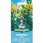 Sunflower Seeds (Kong Hybrid)