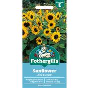 Sunflower Seeds (Little Dorrit)