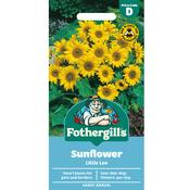 Sunflower Seeds (Little Leo) image