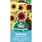 Sunflower Hybrid Seeds (Magic Roundabout)
