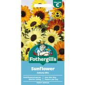 Sunflower Seeds (Soluna Mix)