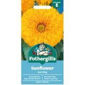 Sunflower Seeds (Sun King)