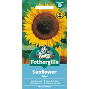 Sunflower Seeds (Taiyo)