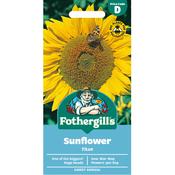 Sunflower Seeds (Titan)