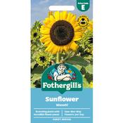 Sunflower Seeds (Waooh)