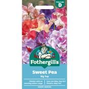 Sweet Pea Seeds (Big Top) image