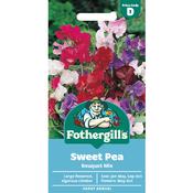 Sweet Pea Seeds (Bouquet Mix) image