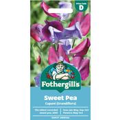 Sweet Pea Seeds (Cupani|Grandiflora) image