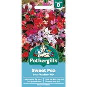 Sweet Pea Seeds (Dwarf Explorer Mix) image