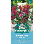 Sweet Pea Seeds (Patio Mix) image